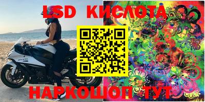 ПСИЛОЦИБИНОВЫЕ ГРИБЫ Коммунар