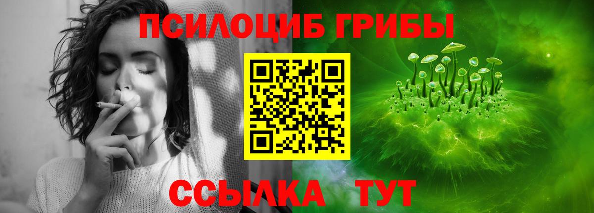 Псилоцибиновые грибы MAGIC MUSHROOMS  Вход с VPN  Кинель  Галлюциногенные грибы прущие грибы 